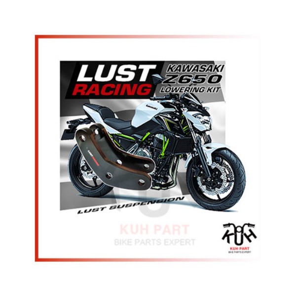 LUST RACING 러스트레이싱 Kawasaki Z650 (2017-21) 로우 다운킷 (30mm)